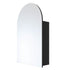 Vienna Arch Black Mirror Cabinet