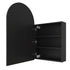 Vienna Arch Black Mirror Cabinet