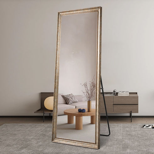 Florinelle Full-Length Dressing Mirror in living room