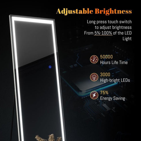Ryenne Full Length 3 Color LED Dressing Wall Mounted/Standing Mirror