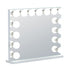 Destinee 15 Dimmable LED Bulbs Hollywood Vanity Mirror Pro Max with Bluetooth Speaker