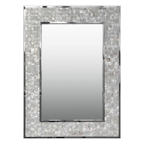 Alinta Brushed Stainless Steel Frame Silver Wall Mirror