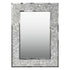 Alinta Brushed Stainless Steel Frame Silver Wall Mirror