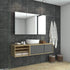 Coralie Stainless Steel Wall Mounted Bathroom Mirror Cabinet