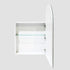 Sonia Arch Mirror Cabinet