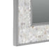 Alinta Brushed Stainless Steel Frame Silver Wall Mirror
