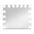 Destinee 15 Dimmable LED Bulbs Hollywood Vanity Mirror Pro Max with Bluetooth Speaker