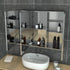 Coralie Stainless Steel Wall Mounted Bathroom Mirror Cabinet