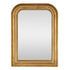 Veda Arched Gold Wall Mirror