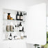 Elijah Frameless Single Door Rectangle Mirror Cabinet