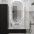 Daria Oval Frosted Edge LED Black Wall Mirror