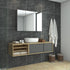Coralie Stainless Steel Wall Mounted Bathroom Mirror Cabinet