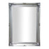 Felicity Ornate Silver Wall Mirror 90x65cm front view