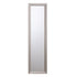 Halvor Silver Wall Mirror