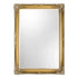 Serena Gold Ornate Wall Mirror