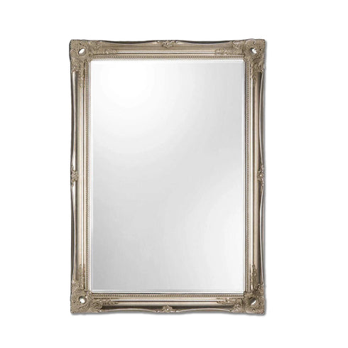 Serena Silver Ornate Wall Mirror
