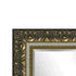 Swirl Ornate Wall Mirror Gold