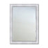 Terrell Silver Wall Mirror