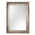 Venus Ornate Silver Wall Mirror