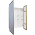 Zivile Rectangle Brass Mirror Cabinet