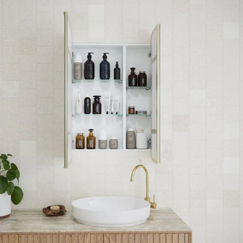 Zivile Rectangle Brass Mirror Cabinet