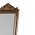 Evelyn Ornate Champagne Standing Mirror