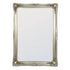 Serena Silver Ornate Wall Mirror
