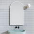 Apsel Arch White Wall Mirror