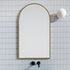 Apsel Arch Brushed Brass Wall Mirror
