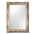 Constanza Large Silver Ornate Wall Mirror