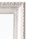 Charlotte Ornate Brushed White Wall Mirror