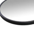 Aaden Pill Black Wall Mirror