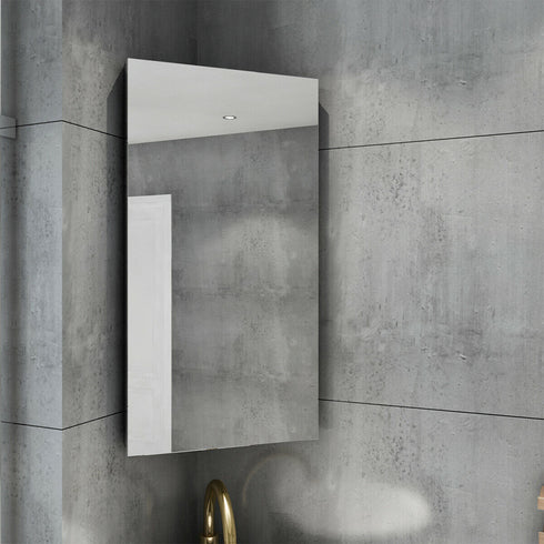 Coralie Stainless Steel Wall Mounted Bathroom Mirror Cabinet