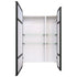 Zivile Rectangle Black Mirror Cabinet