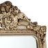 Brielle Ornate Gold Floor Mirror