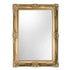 Constanza Large Gold Ornate Wall Mirror