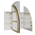Myli 3-Door Arch Satin Brass Mirror Cabinet