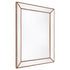 Zeta Gold Beaded Frame Wall Mirror