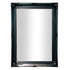 Felicity Ornate Black Wall Mirror