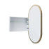 Noelle Satin Brass Pill Mirror Cabinet