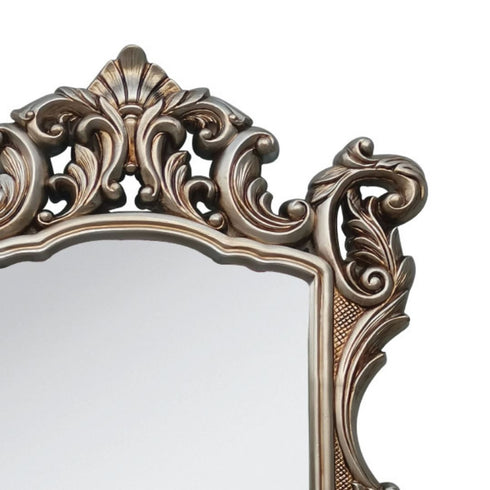 Odessa Antique Champagne Wall Mirror
