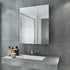 Coralie Stainless Steel Wall Mounted Bathroom Mirror Cabinet