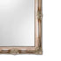 Constanza Large Silver Ornate Wall Mirror