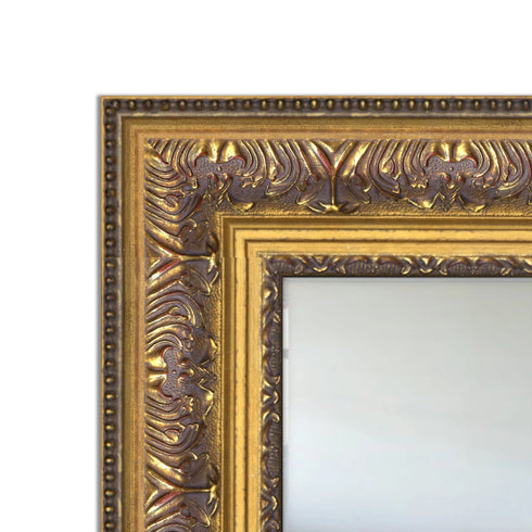 Elizabeth Traditional Ornate Embossed Gold Mirror