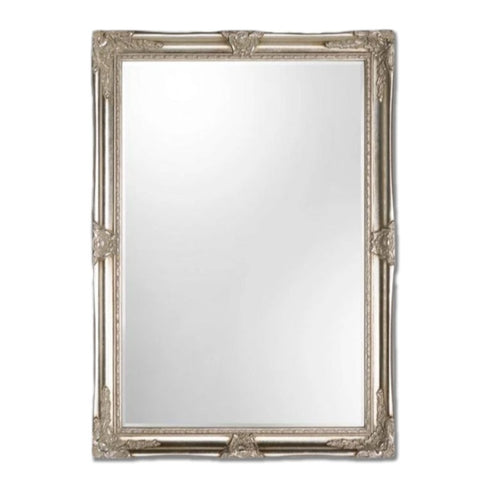 Galeno Ornate Silver Wall Mirror