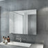 Coralie Stainless Steel Wall Mounted Bathroom Mirror Cabinet