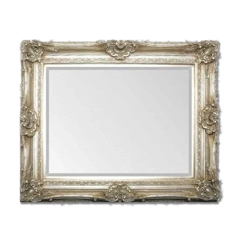 Helga Large Ornate Silver Wall Mirror