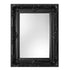 Helga Ornate Black Wall Mirror