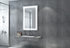 Milo LED Anti-fog Front-Lit Rectangular Bathroom Mirror