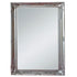 Felicity Ornate Silver Wall Mirror
